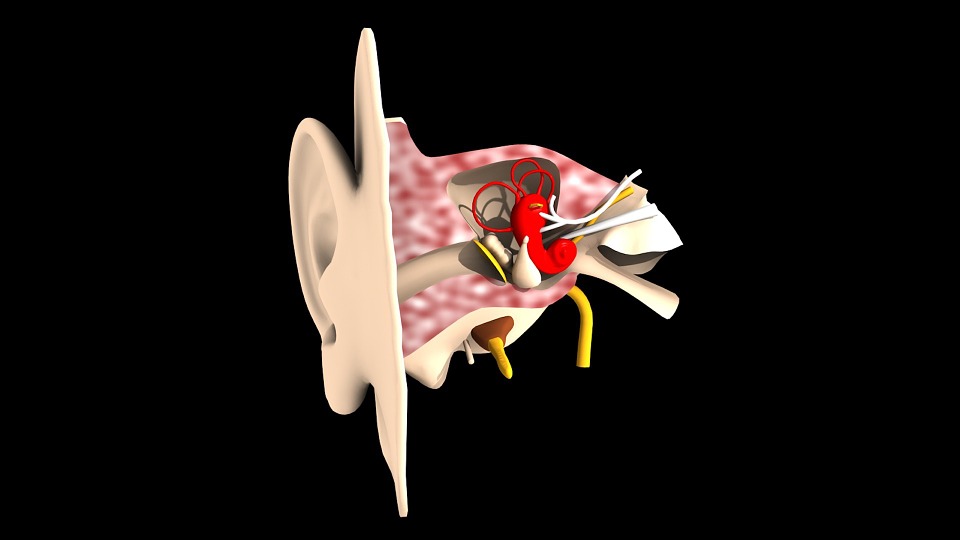 Signs For A Hearing Test