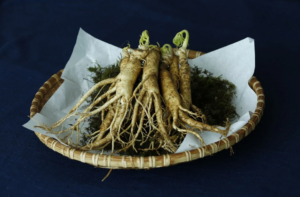 ginseng